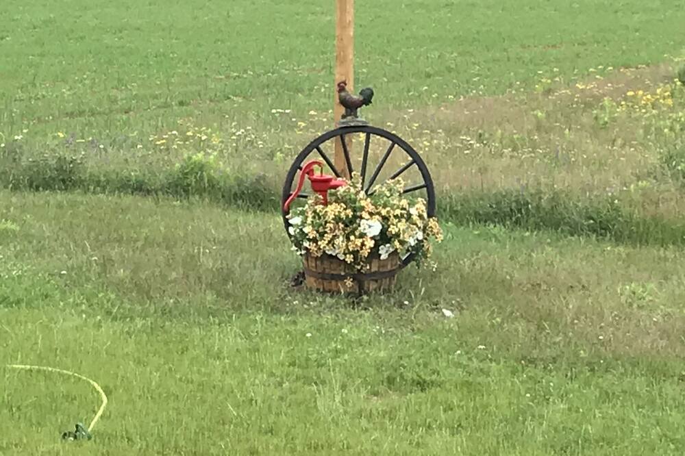Photo of Others in Morell
