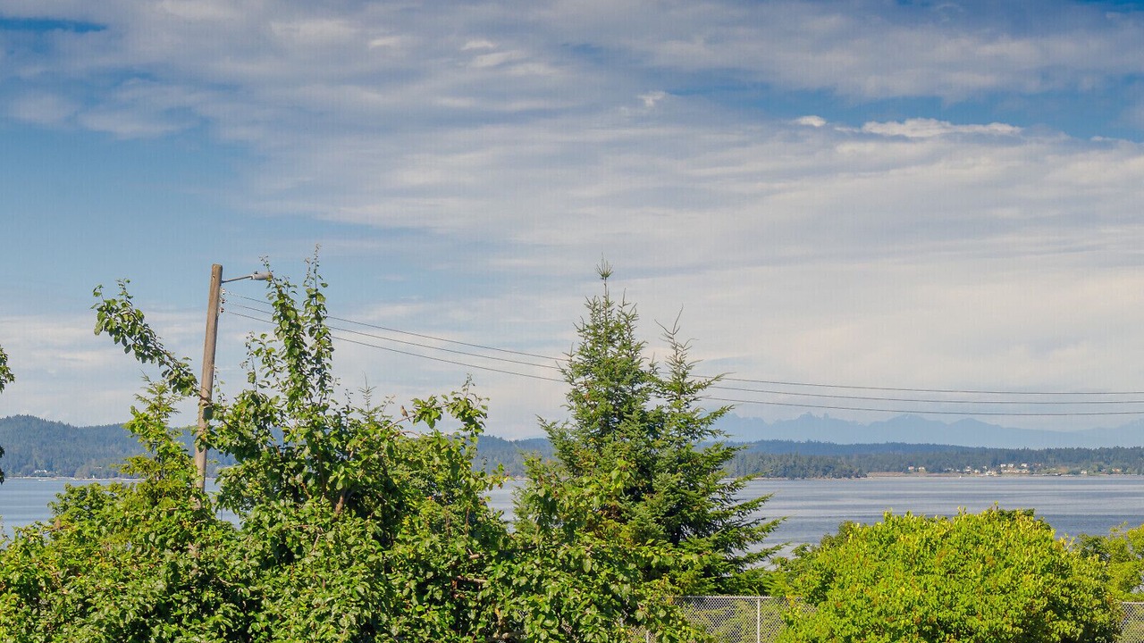Photo of Others in Chemainus