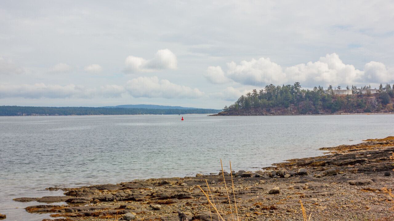 Photo of Others in Chemainus