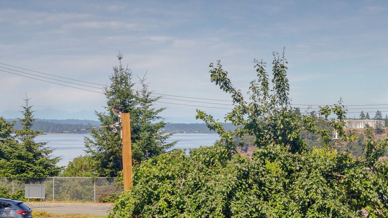 Photo of Others in Chemainus