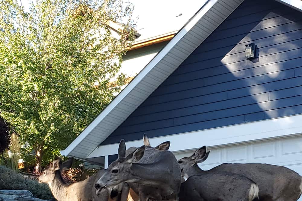 Photo of Others in Westshore Estates