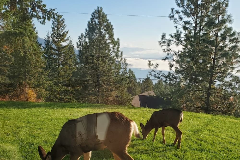 Photo of Outdoor in Westshore Estates