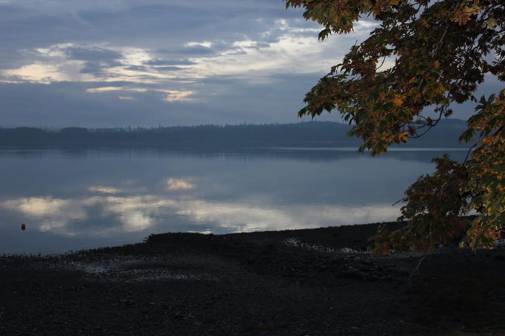 Photo of Others in Union Bay