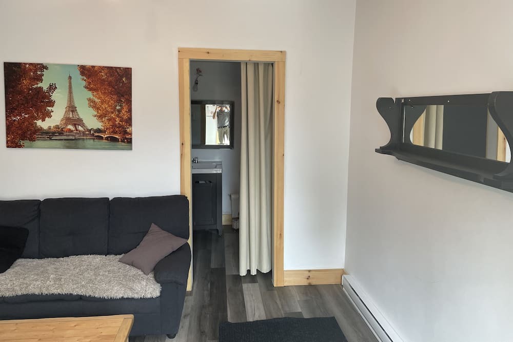 Photo of Livingroom in Masson-Angers