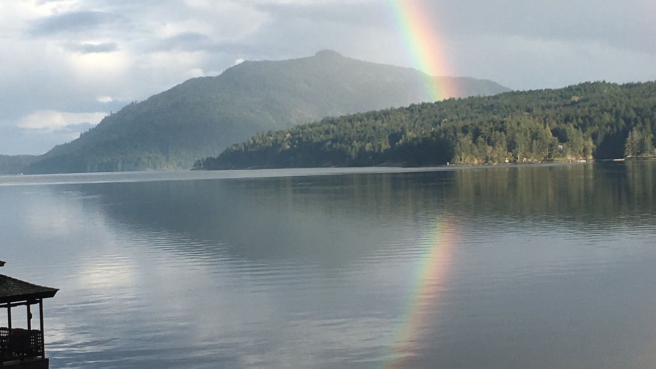 Photo of Others in Maple Bay