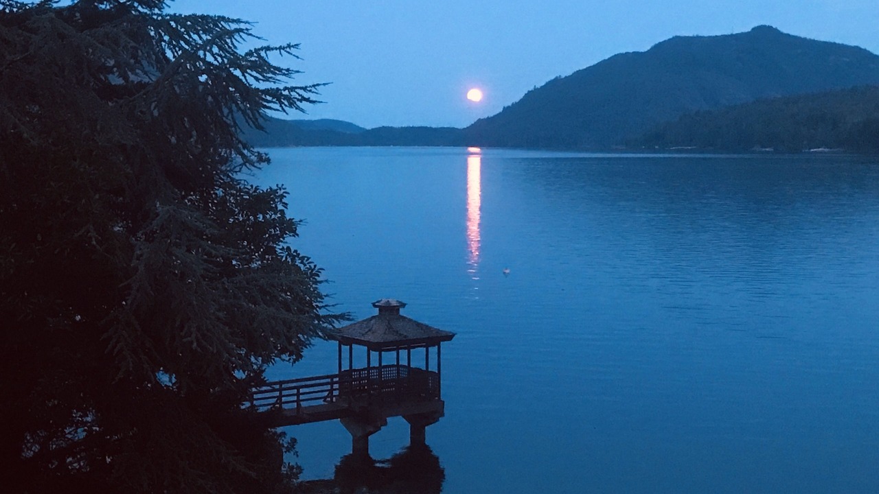 Photo of Others in Maple Bay
