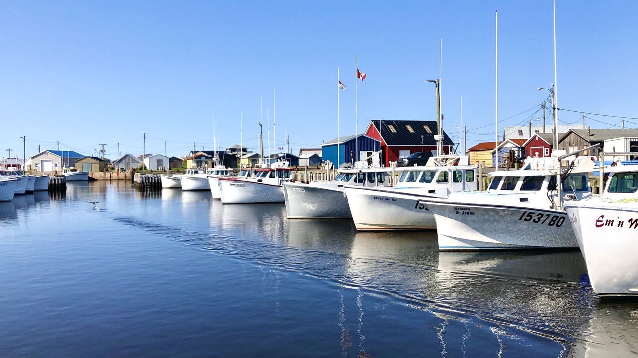 Photo of Others in Saint Peters Bay