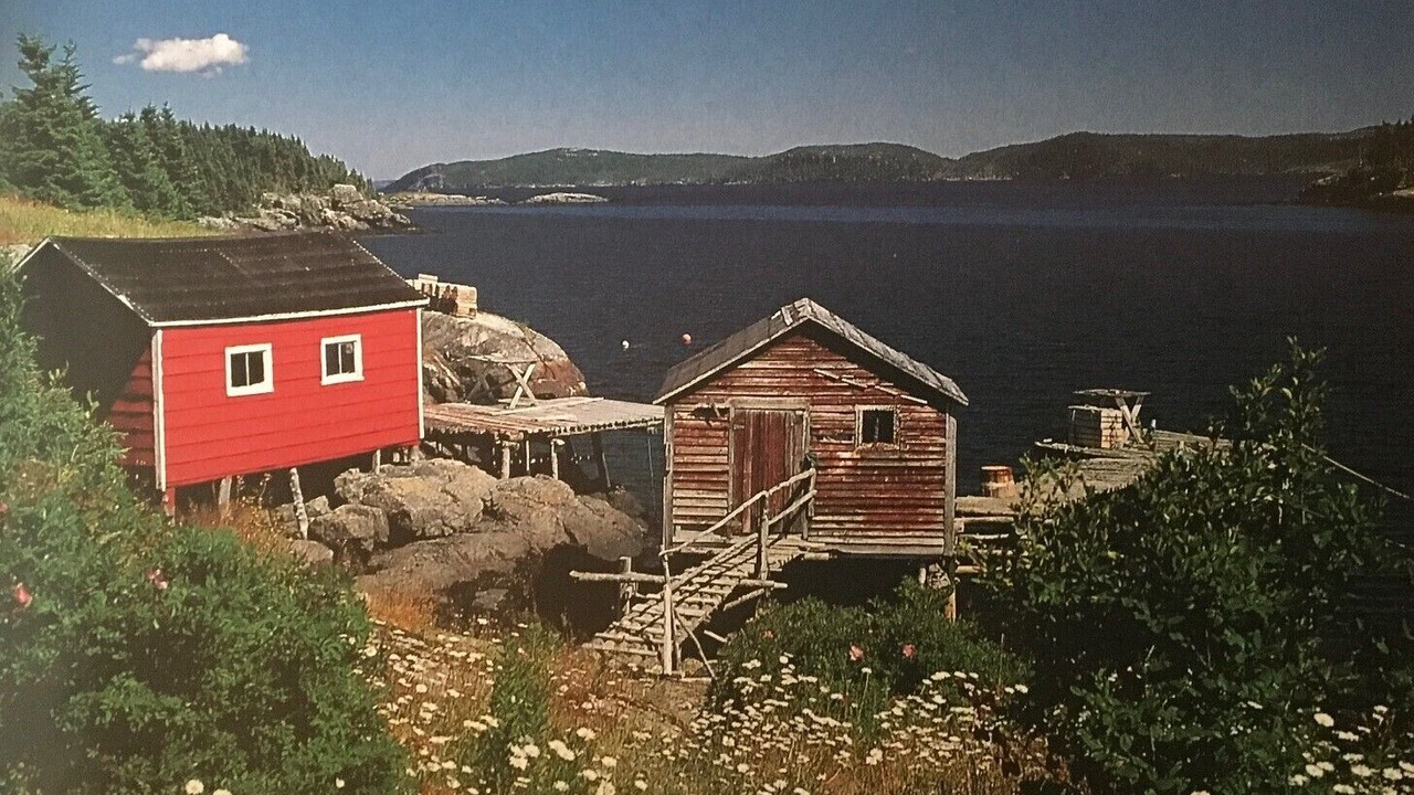 Photo of Outdoor in Glovertown