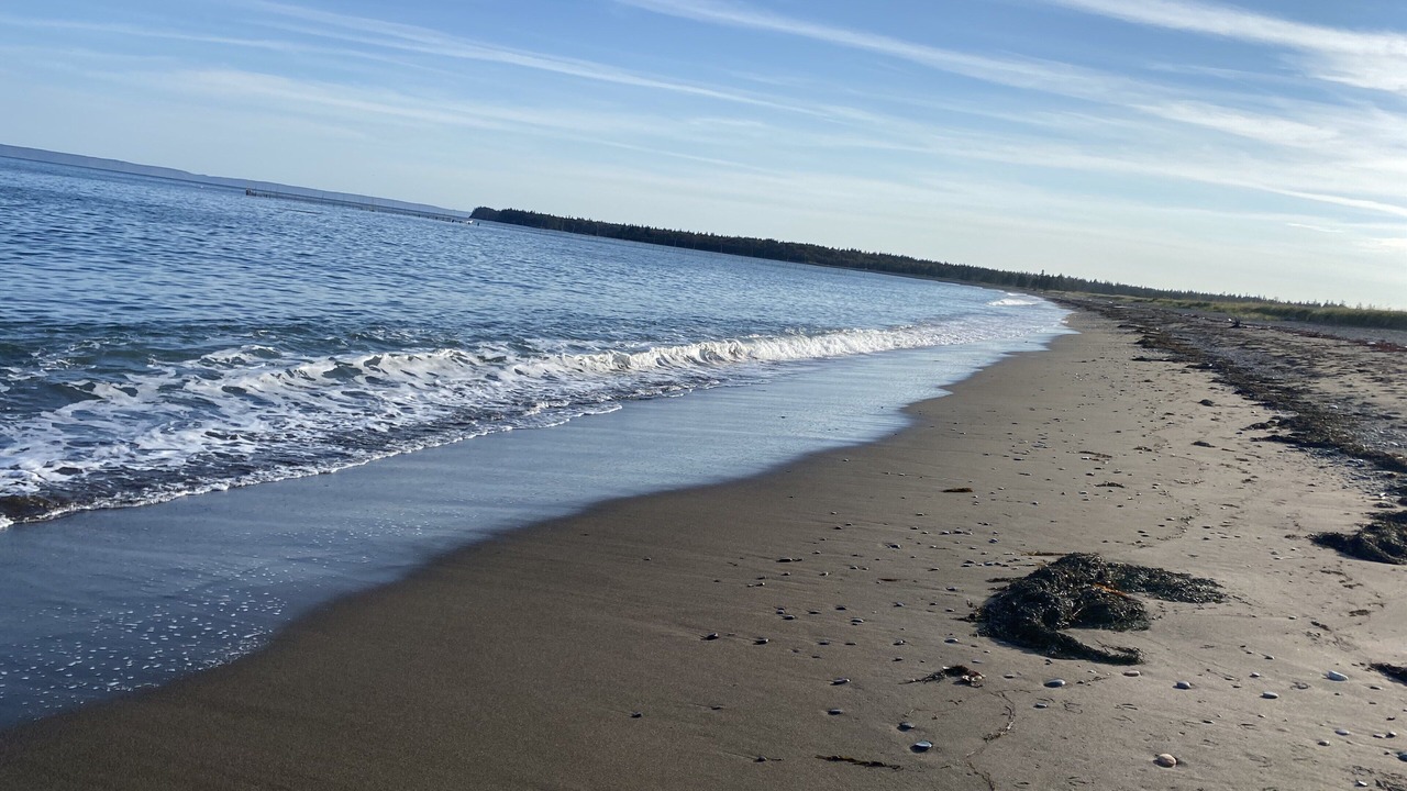 Photo of Others in Wilsons Beach