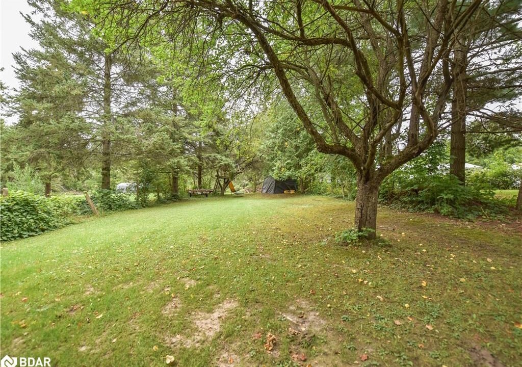 Photo of Outdoor in Carden