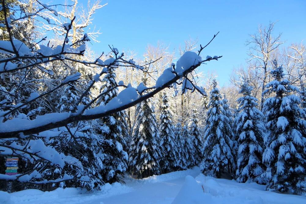 Photo of Others in Val-des-Monts