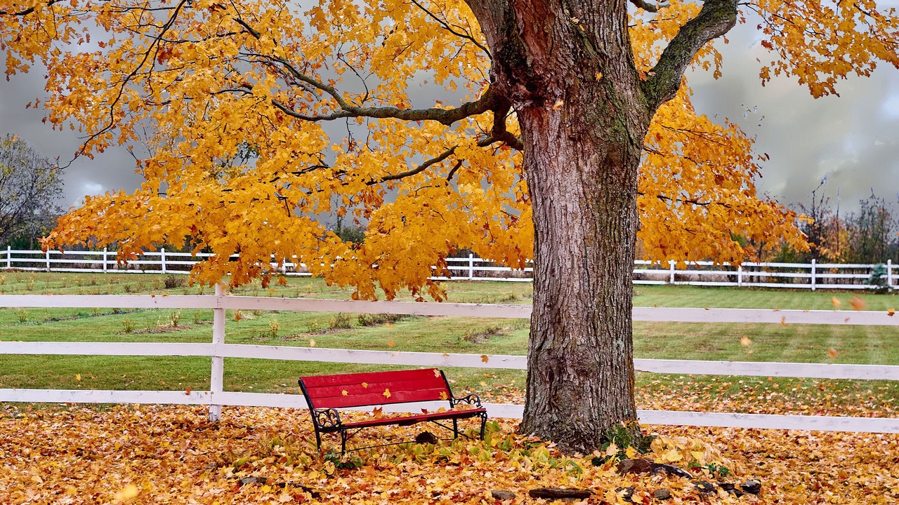 Photo of Outdoor in Oxford Mills