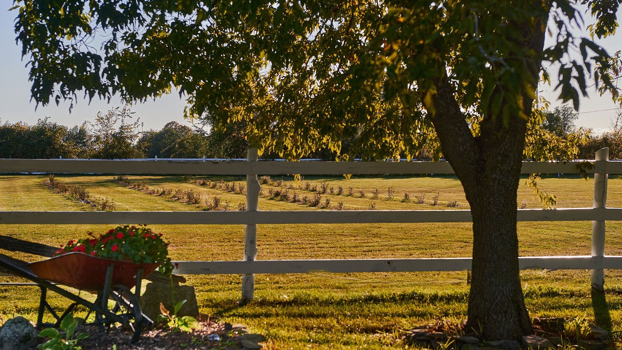Photo of Outdoor in Oxford Mills
