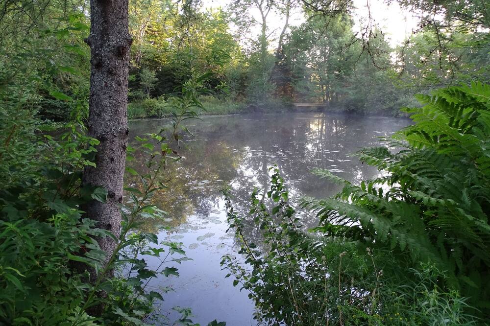 Photo of Outdoor in Mineville