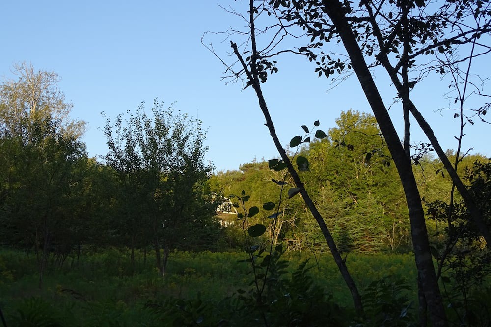 Photo of Outdoor in Mineville