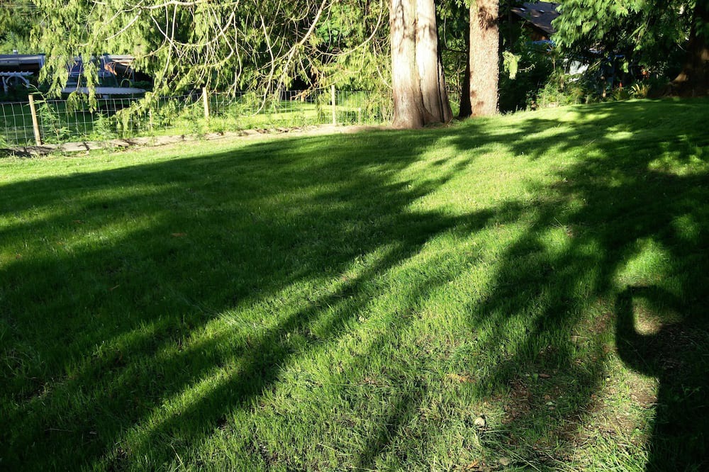Photo of Outdoor in Regional District of Nanaimo