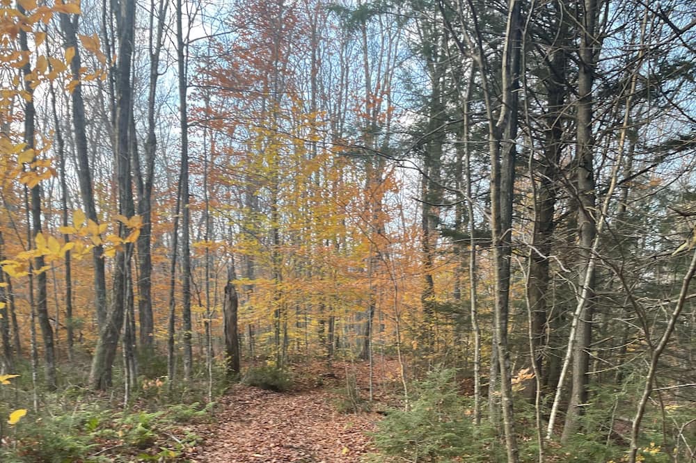 Photo of Others in Mauricie