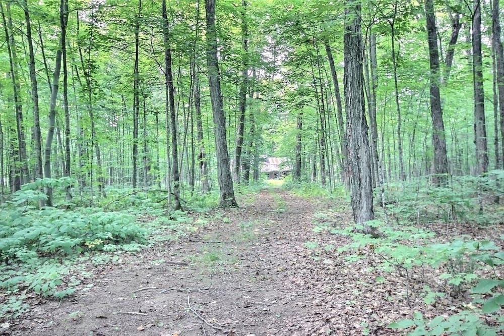 Photo of Outdoor in Mauricie