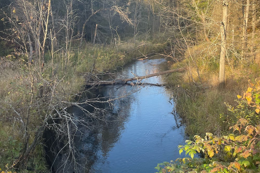Photo of Others in Mauricie