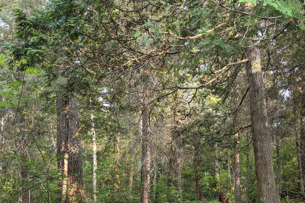 Photo of Outdoor in Timmins