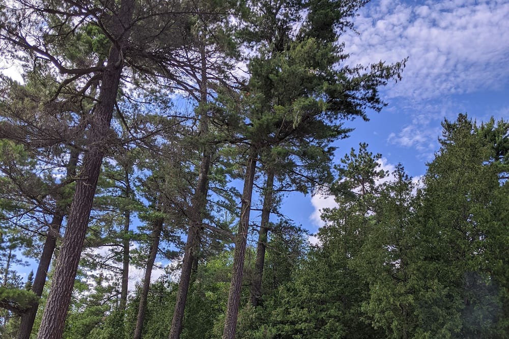 Photo of Outdoor in Timmins