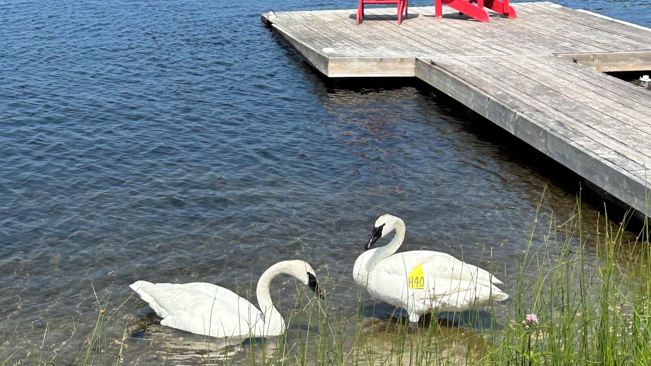 Photo of Outdoor in Port Severn