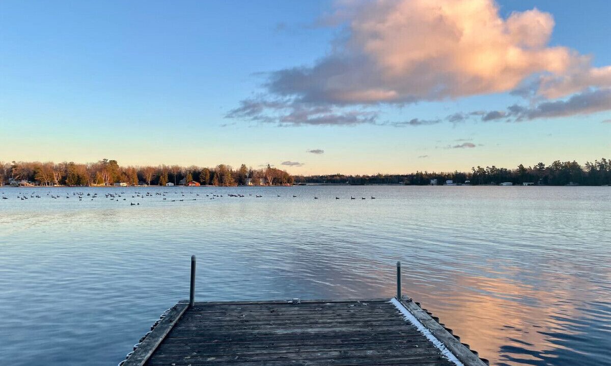 Photo of Others in Bobcaygeon
