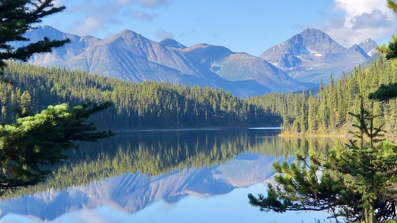 Photo of Others in Stikine Region