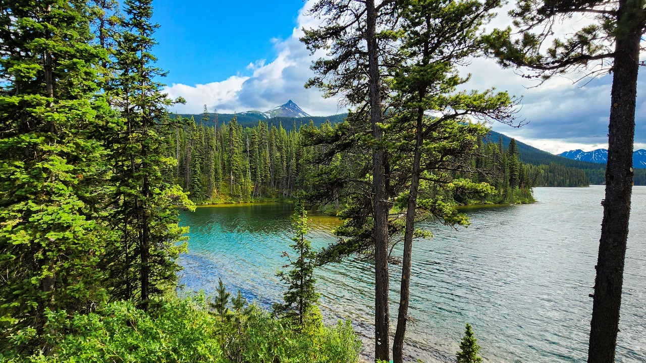 Photo of Others in Stikine Region