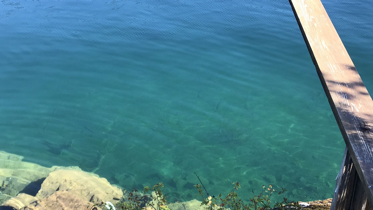 Photo of Outdoor in Sproat Lake