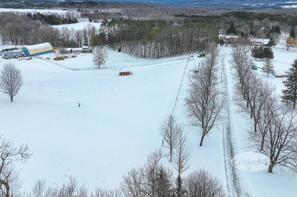 Photo of Outdoor in Mulmur