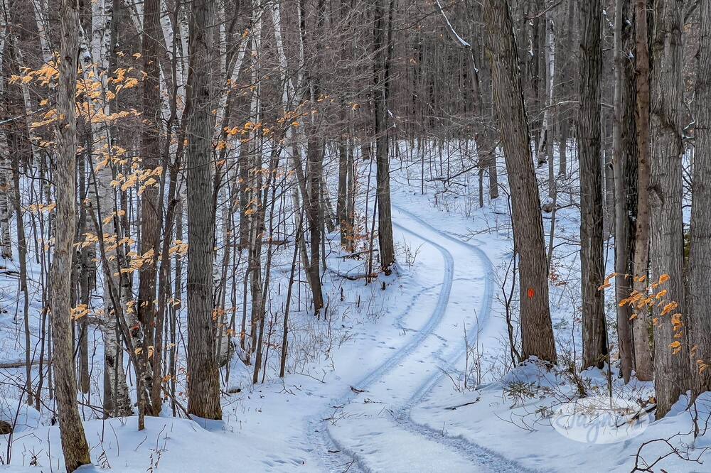 Photo of Outdoor in Mulmur