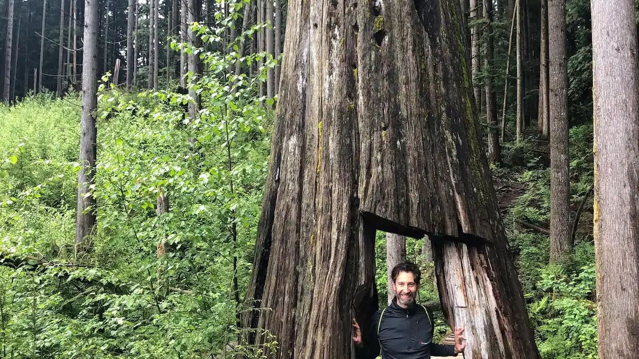 Photo of Outdoor in Mission