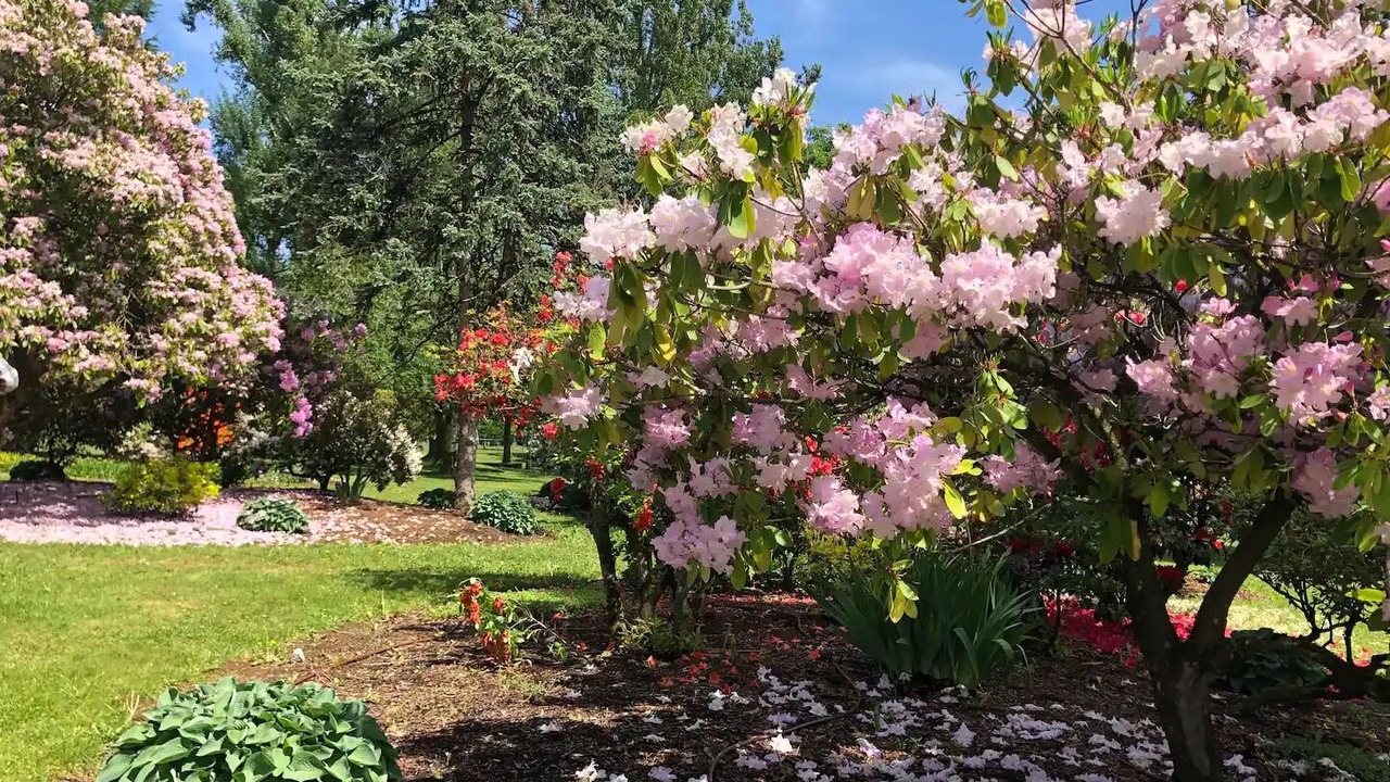 Photo of Outdoor in Mission