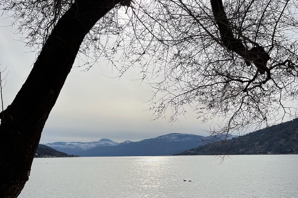 Photo of Others in Vernon