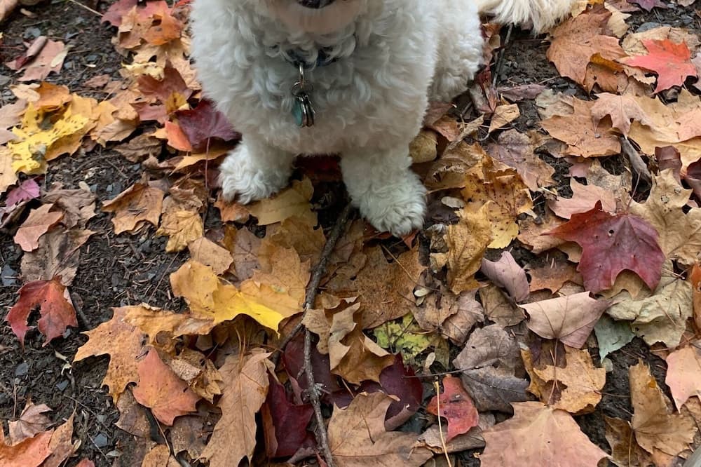 Photo of Outdoor in Gore