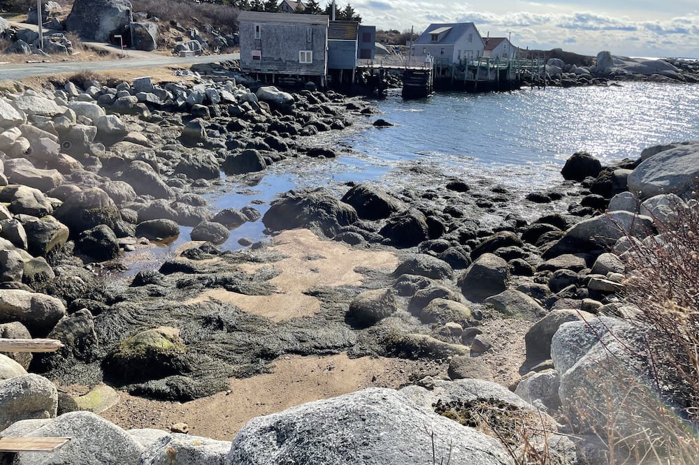 Photo of Outdoor in Indian Harbour