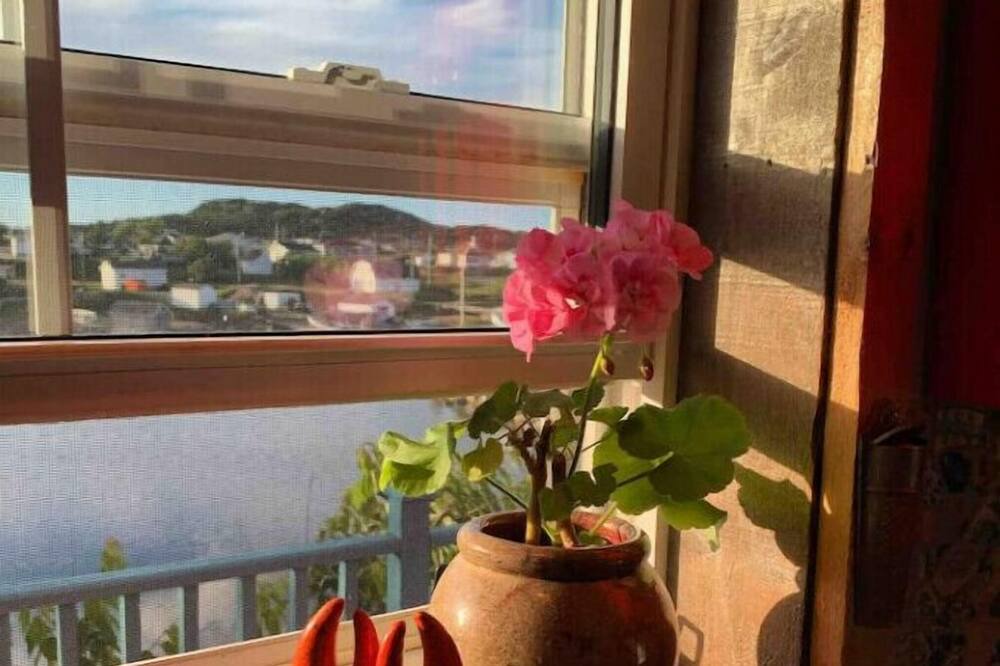 Photo of Others in Twillingate