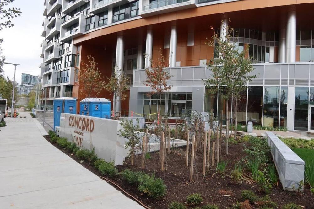 Photo of Others in Southeast False Creek