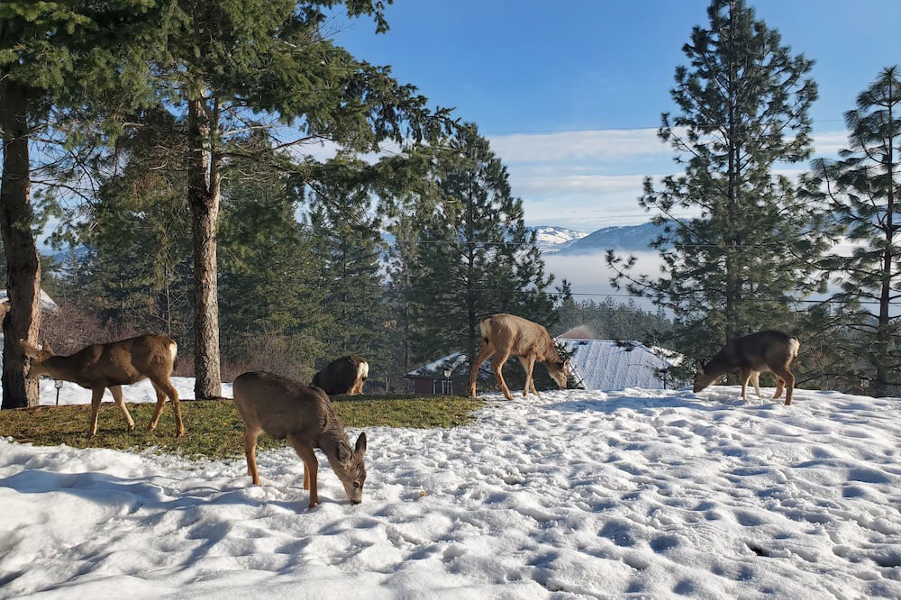 Photo of Others in Westshore Estates