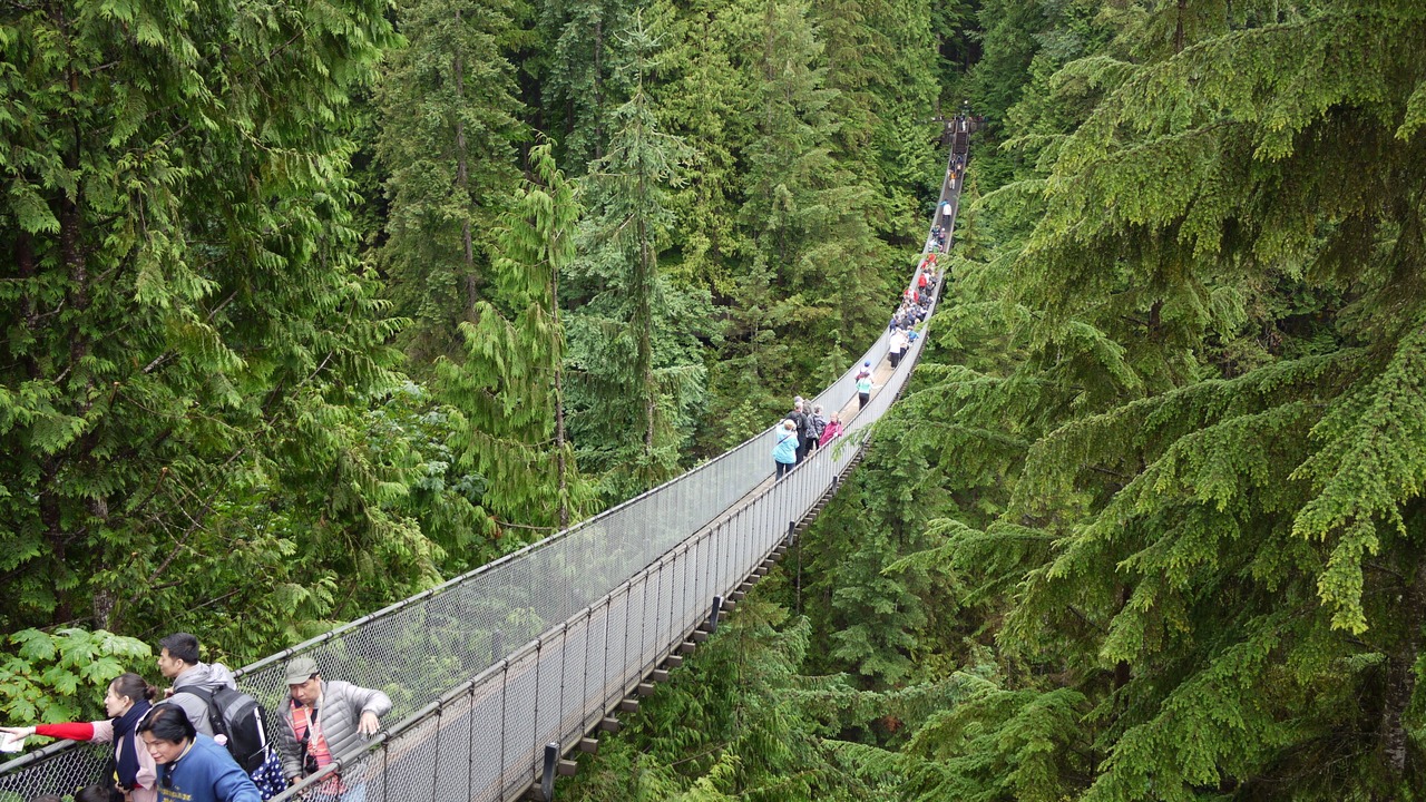 Photo of Others in North Vancouver