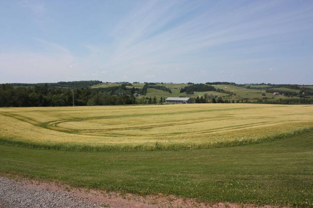 Photo of Others in New Glasgow