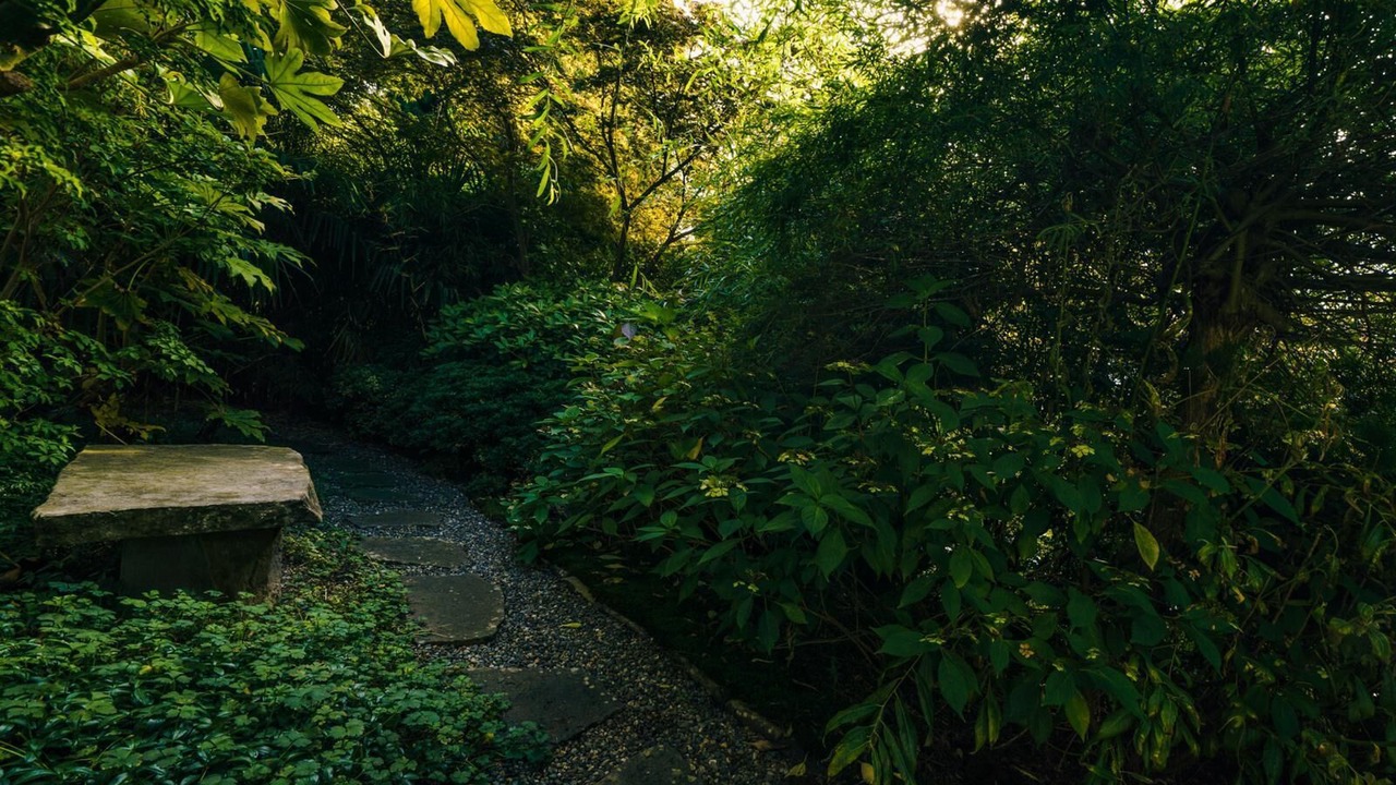 Photo of Outdoor in Shaughnessy