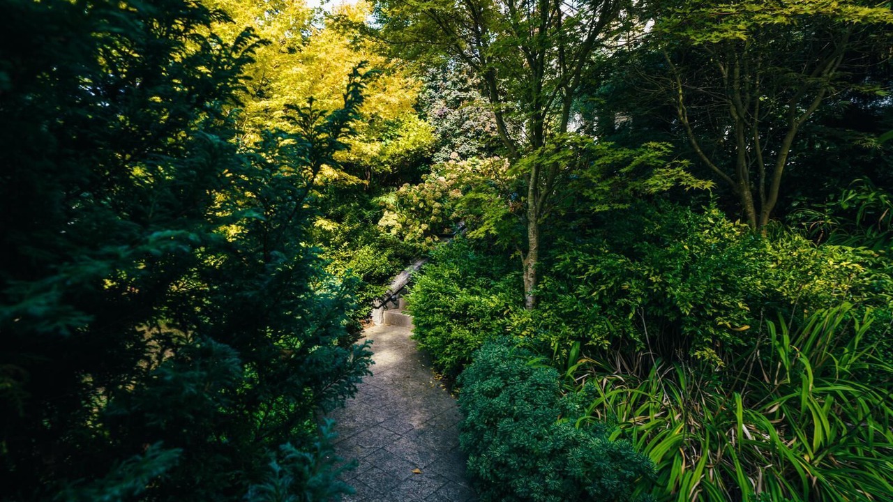 Photo of Outdoor in Shaughnessy