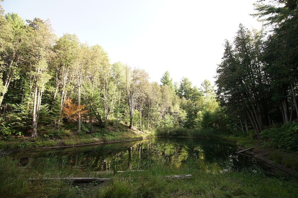 Photo of Outdoor in Rawdon