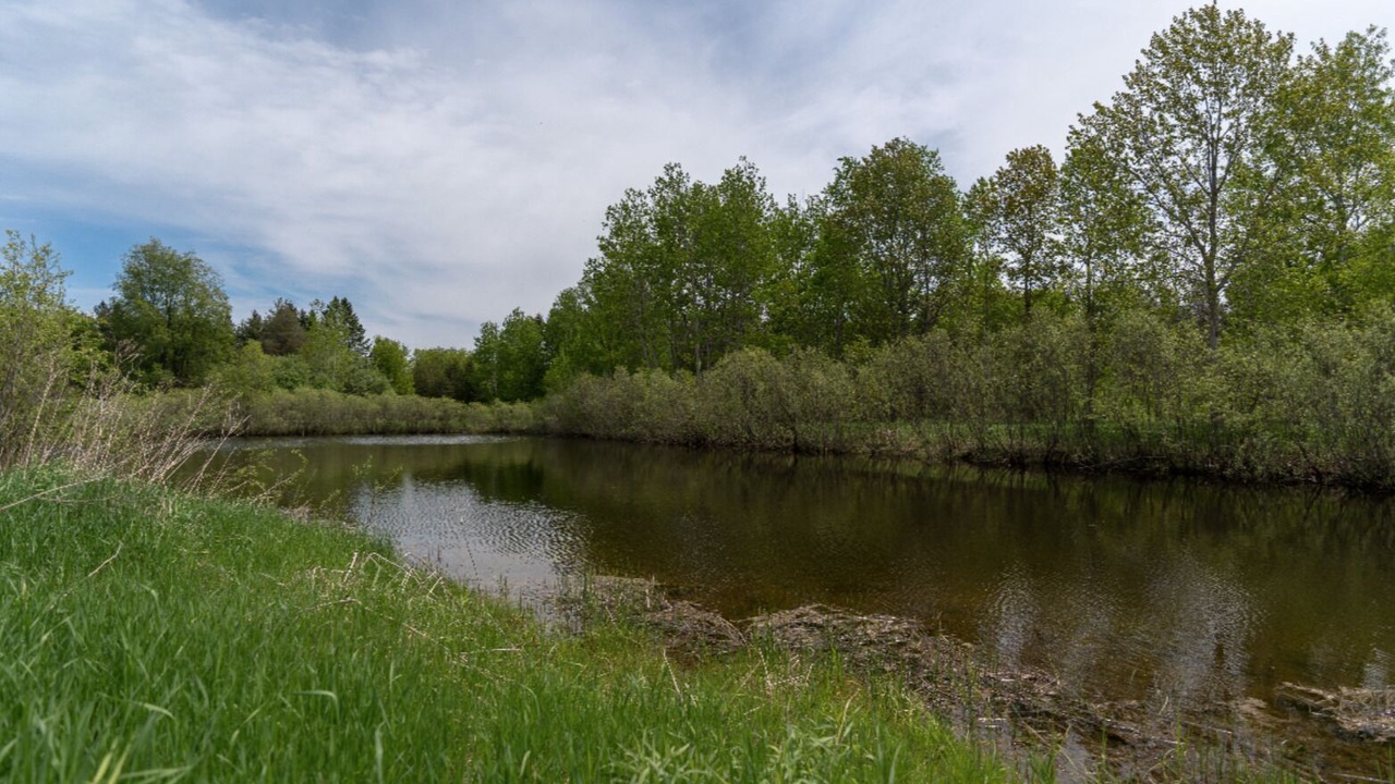 Photo of Outdoor in Adjala-Tosorontio