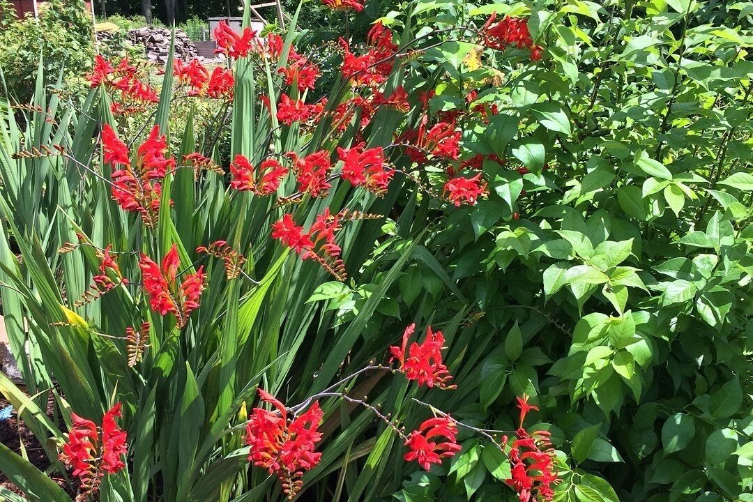 Photo of Outdoor in St. Williams