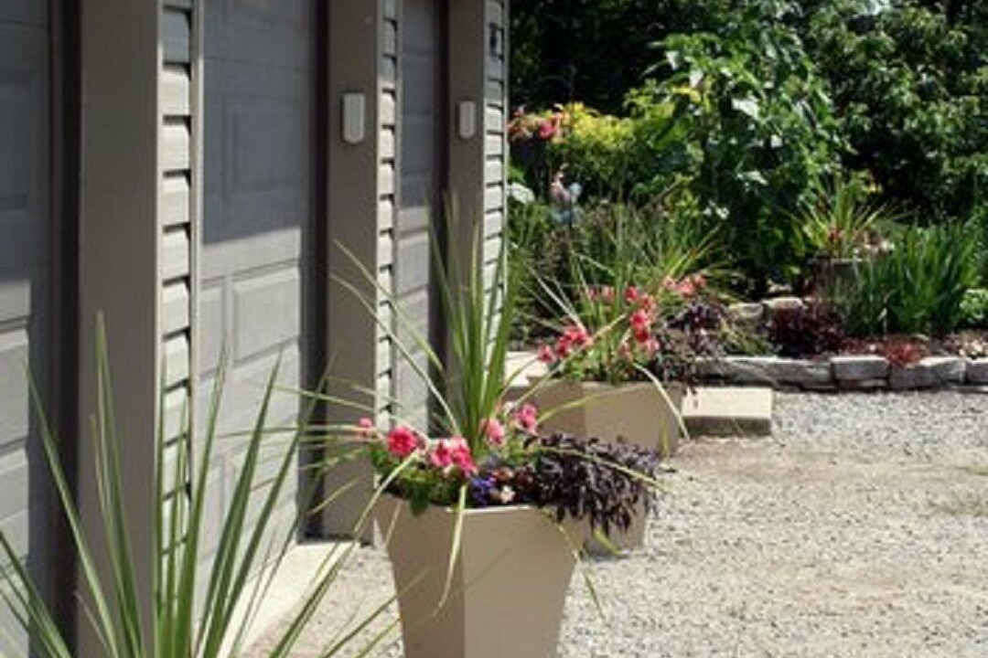 Photo of Outdoor in St. Williams