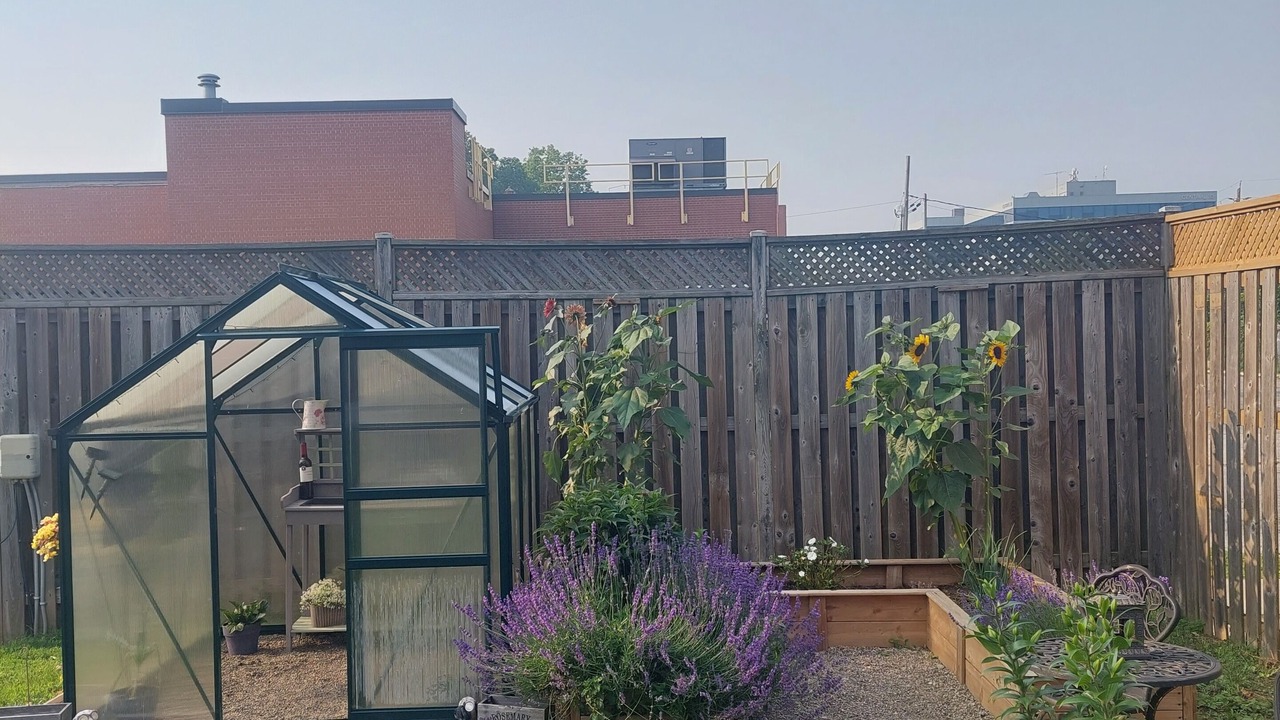 Photo of Patio Balcony in Leamington
