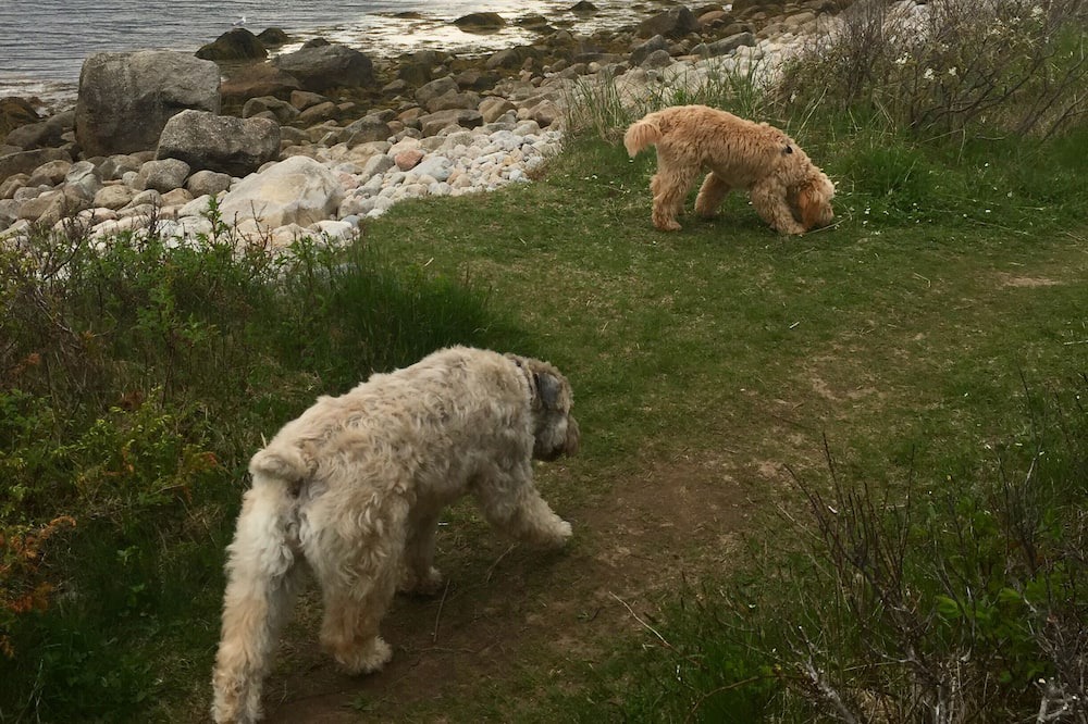 Photo of Outdoor in Black Point